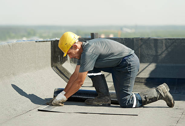 Best Wall Insulation Contractor  in Brookings, SD