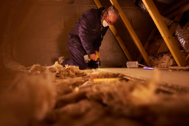 Best Fiberglass Insulation  in Brookings, SD